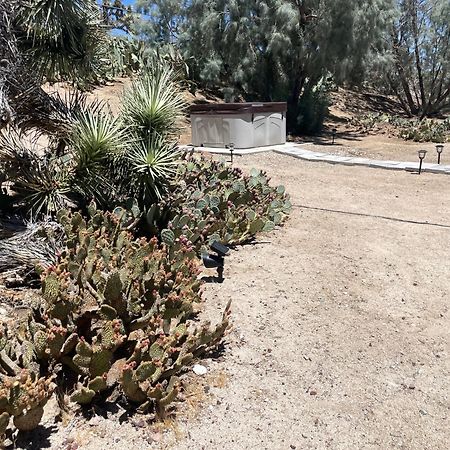 Mojave Desert Pied-A-Terre 尤卡谷 外观 照片