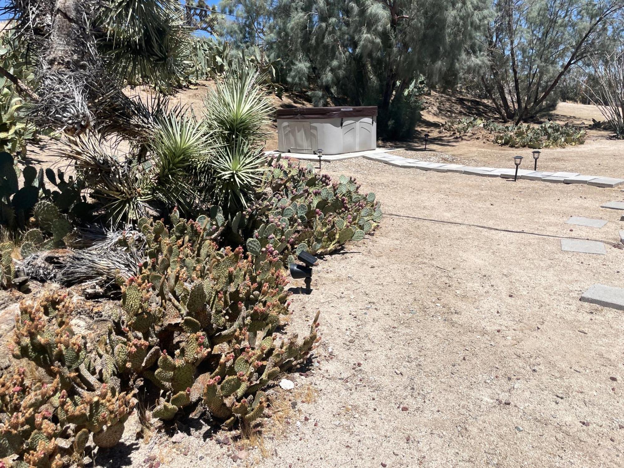 Mojave Desert Pied-A-Terre 尤卡谷 外观 照片